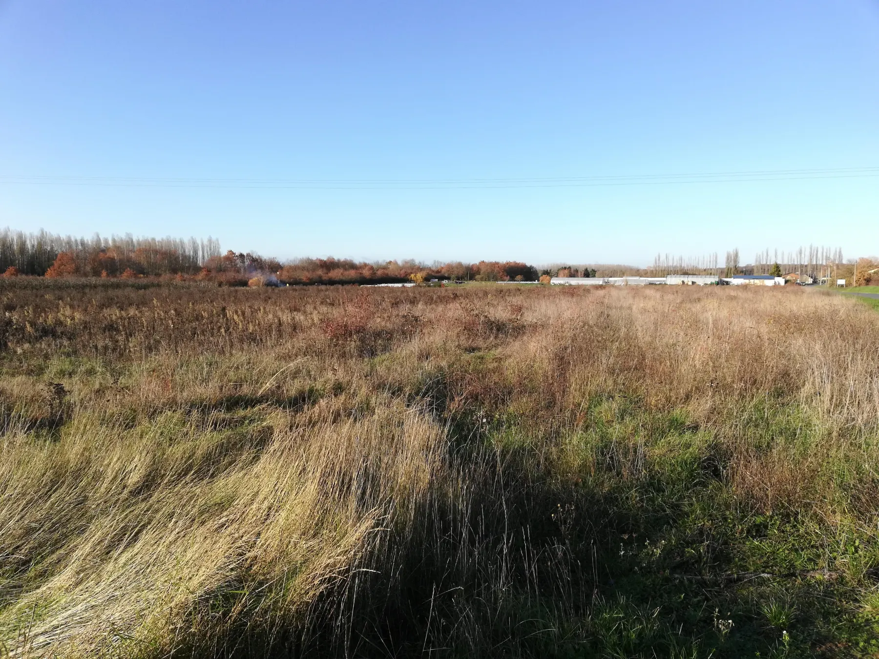 Terrain vague pouvant accueillir un projet solaire